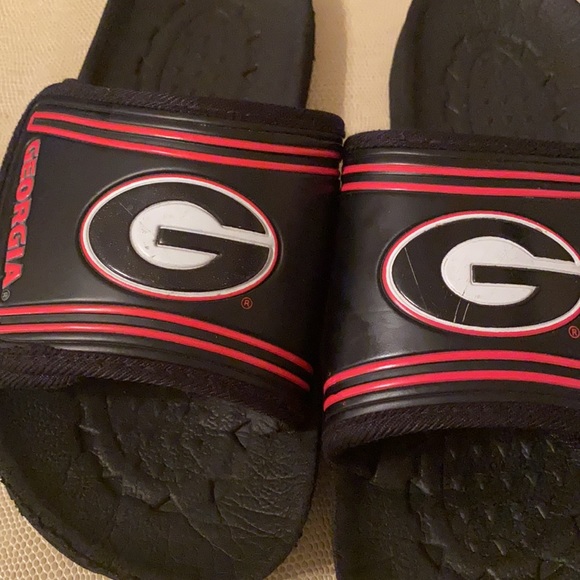 UGA Slides - Picture 4 of 6